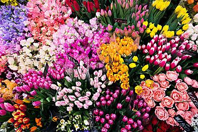 NS《蜡笔小新 煤炭镇的小白》香港区游戏发布会圆满成功